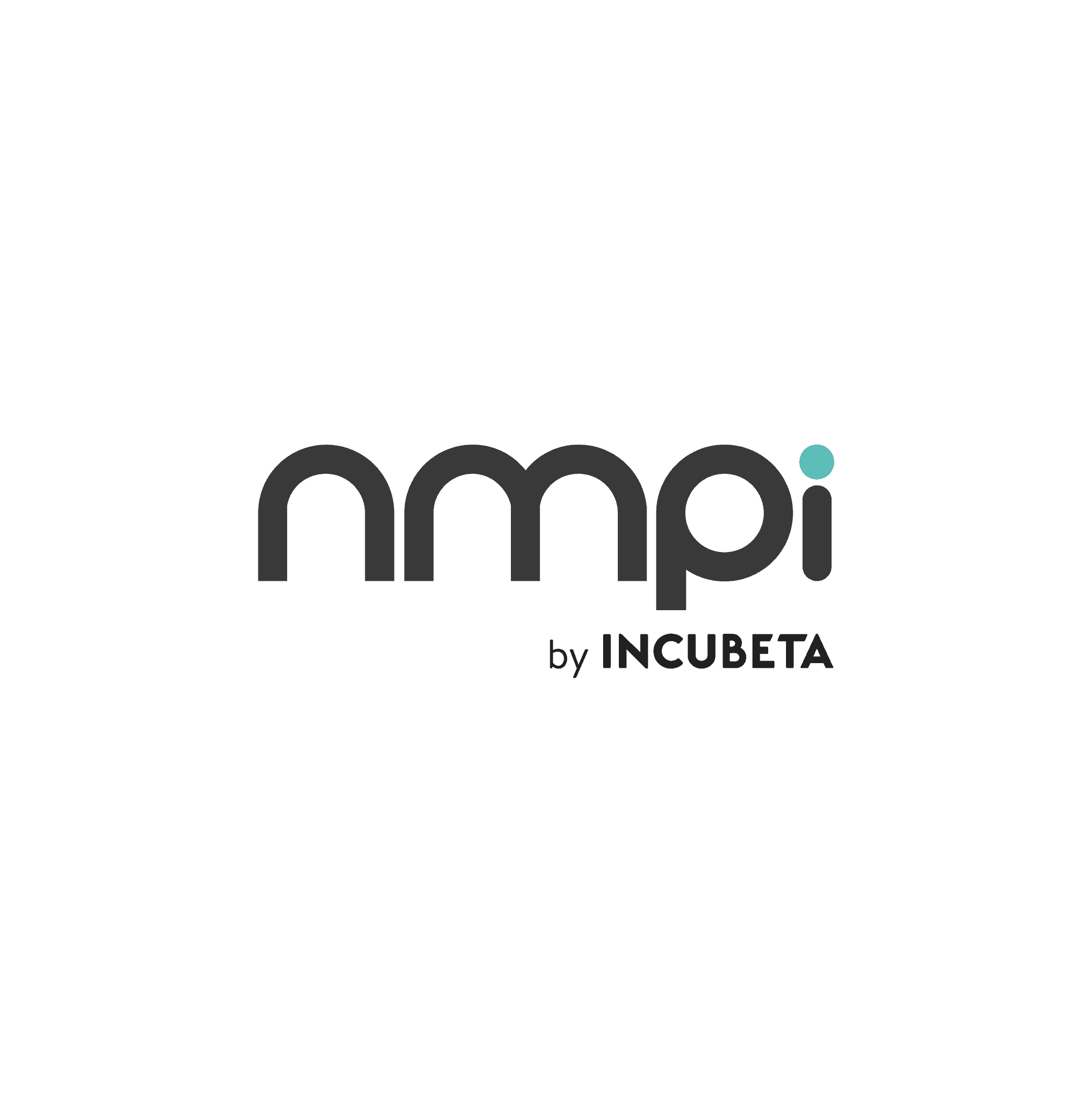 NMPi-Logo